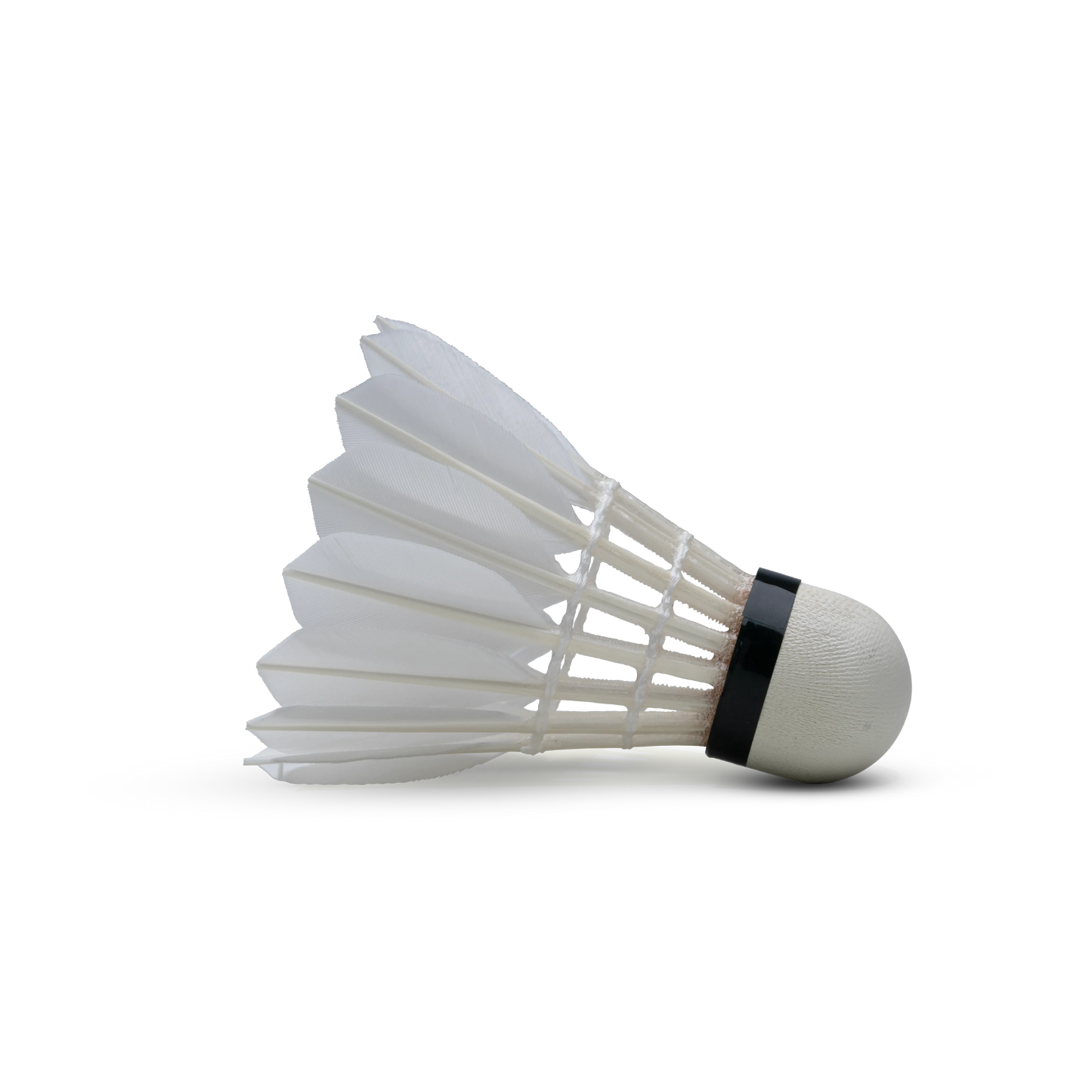 F80 Feather Shuttlecock
