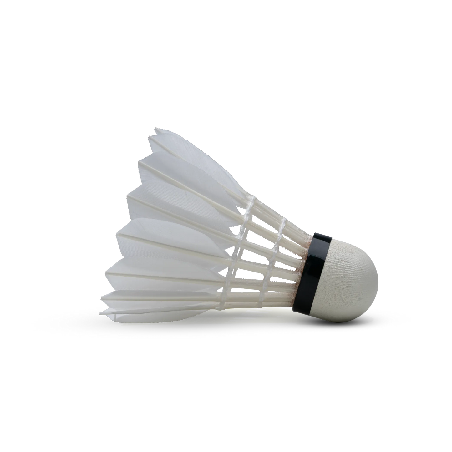 H+100 Feather Shuttlecock