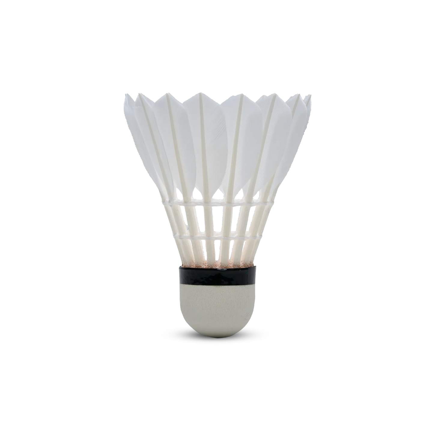 H+100 Feather Shuttlecock