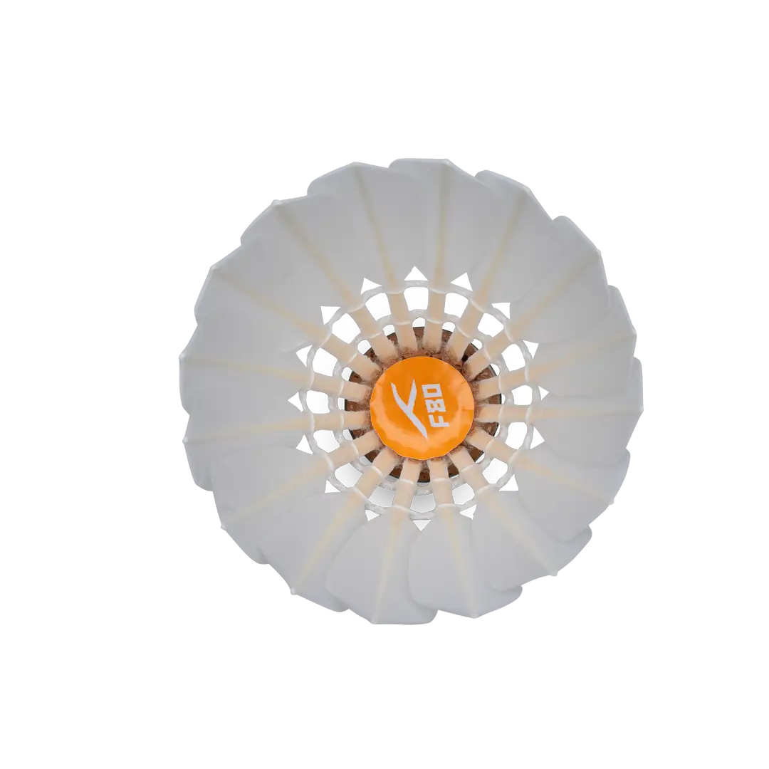 F80 Feather Shuttlecock