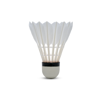 F80 Feather Shuttlecock