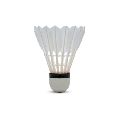 H+100 Feather Shuttlecock