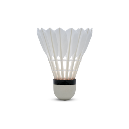 H+100 Feather Shuttlecock